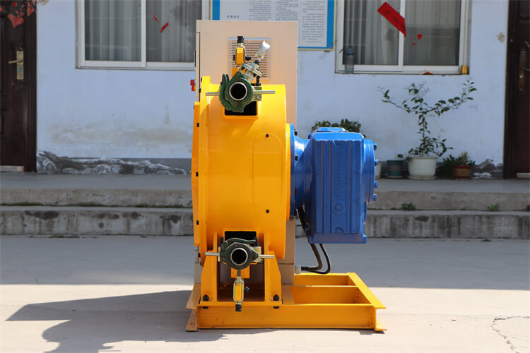 peristaltic hose pump for pumping food watse